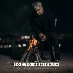 Mojtaba Delzendeh – Joz To Nemikham