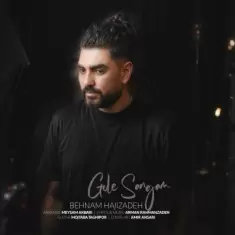 دانلود آهنگ بهنام حاجی زاده به نام گل سنگم