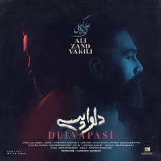 دانلود آهنگ علی زند وکیلی به نام دلواپسی