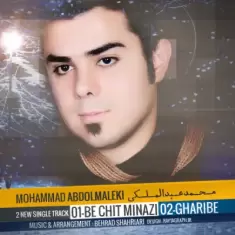 دانلود آهنگ محمد عبدالمالکی به نام غریبه