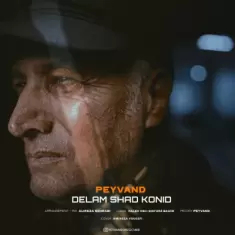 دانلود آهنگ پیوند به نام دلم شاد کنید