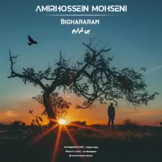 Amirhossein Mohseni – Bighararam
