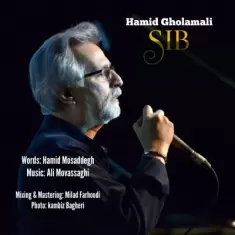 Hamid Gholamali – Sib