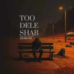 دانلود آهنگ آراکوم به نام تو دل شب