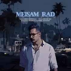 دانلود آهنگ میثم راد به نام برای تو