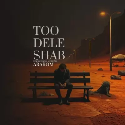 دانلود آهنگ آراکوم به نام تو دل شب دانلود آهنگ آراکوم به نام تو دل شب