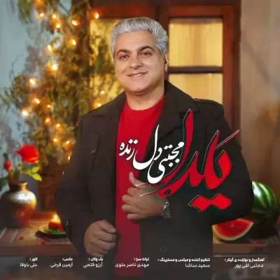 دانلود آهنگ مجتبی دل زنده به نام یلدا دانلود آهنگ مجتبی دل زنده به نام یلدا