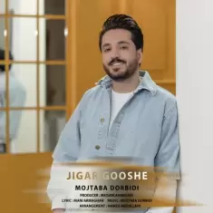 Mojtaba Dorbidi – Jigar Gooshe