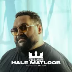 Saeed Shahan – Hale Matloob
