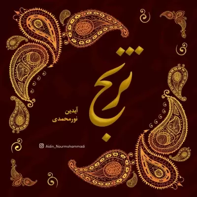 Aidin Noormohammadi – Toranj Aidin Noormohammadi – Toranj