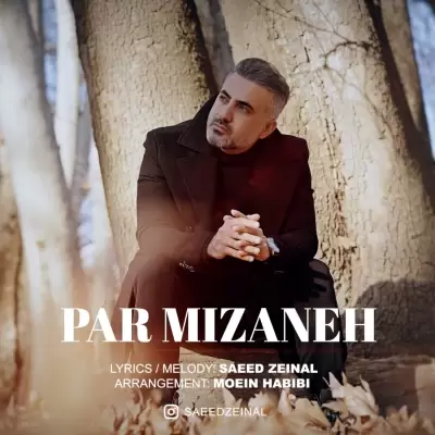Saeed Zeinal – Par Mizaneh