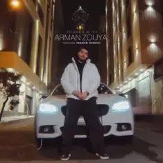 دانلود آهنگ آرمان ذویا به نام تهران بی تو