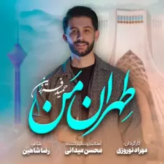 Hamid Farzin – Tehrane Man