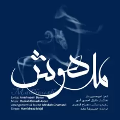 Hamidreza Majd – Madhoush