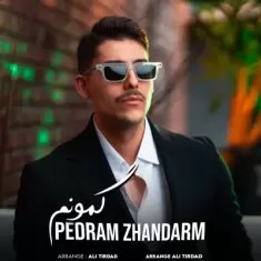Pedram Zhandarm – Gamoonam