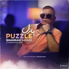 Shahram Safaei – Puzzle
