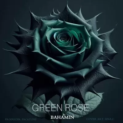 Bahamin – Green Rose (Ft Pacatune) Bahamin – Green Rose (Ft Pacatune)