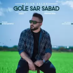 دانلود آهنگ آرین صالحی به نام گل سر سبد