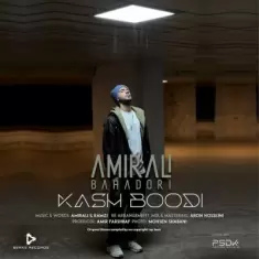 دانلود آهنگ امیرعلی بهادری به نام کاش بودی