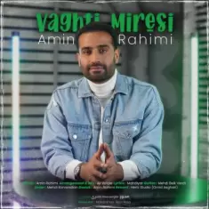 دانلود آهنگ امین رحیمی به نام وقتی میرسی