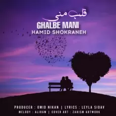 دانلود آهنگ حمید شکرانه به نام قلب منی