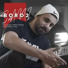 دانلود آهنگ سانی به نام برو تو