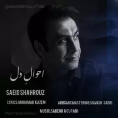 دانلود آهنگ سعید شهروز به نام احوال دل