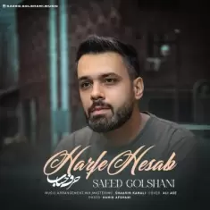 دانلود آهنگ سعید گلشنی به نام حرف حساب