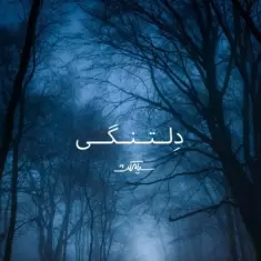 دانلود آهنگ سیامکث به نام دلتنگی