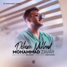 دانلود آهنگ محمد زوار به نام دلم میخواد