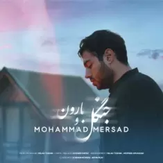 دانلود آهنگ محمد مرصاد به نام جنگل و بارون