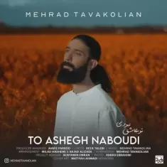 دانلود آهنگ مهراد توکلیان به نام تو عاشق نبودی