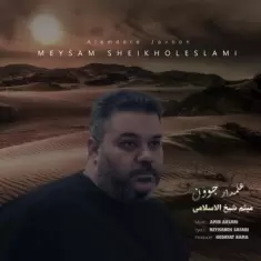 دانلود آهنگ میثم شیخ الاسلامی به نام علمدار جوون