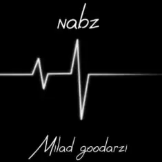 دانلود آهنگ میلاد گودرزی به نام نبض