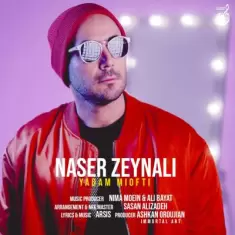 دانلود آهنگ ناصر زینلی به نام یادم میوفتی