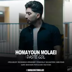 دانلود آهنگ همایون مولایی به نام دست گل