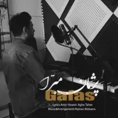 دانلود آهنگ پژمان مبرا به نام قفس