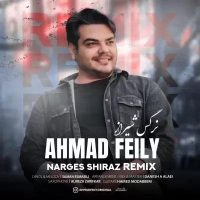 دانلود آهنگ احمد فیلی به نام نرگس شیراز ریمیکس دانلود آهنگ احمد فیلی به نام نرگس شیراز ریمیکس