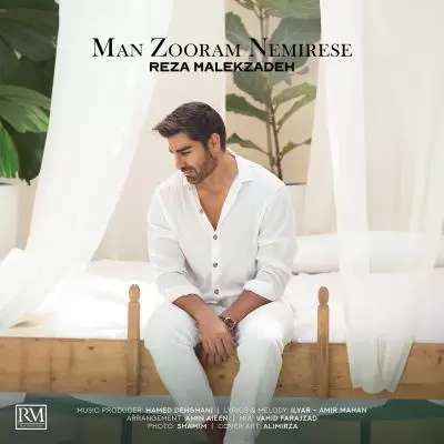 دانلود آهنگ رضا ملک زاده به نام من زورم نمیرسه دانلود آهنگ رضا ملک زاده به نام من زورم نمیرسه