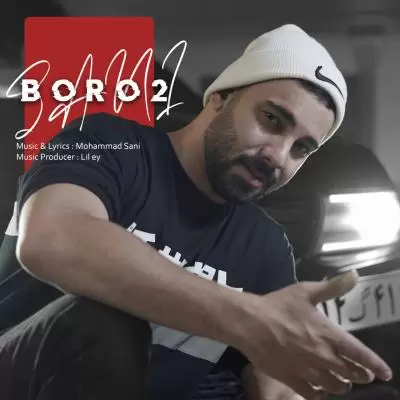 دانلود آهنگ سانی به نام برو تو