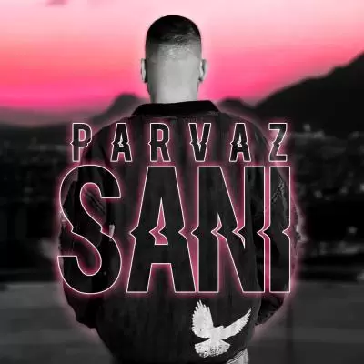 دانلود آهنگ سانی به نام پرواز