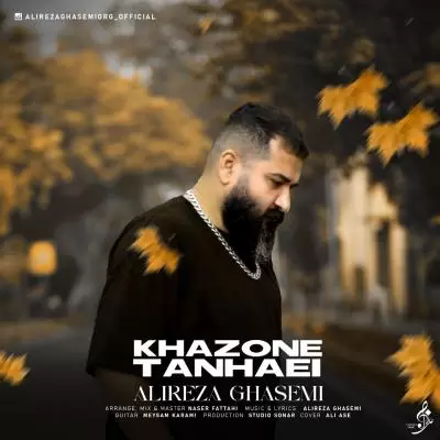 دانلود آهنگ علیرضا قاسمی به نام خزون تنهایی دانلود آهنگ علیرضا قاسمی به نام خزون تنهایی