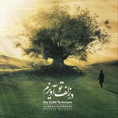 دانلود آهنگ علیرضا قربانی به نام در زلف تو آویزم دانلود آهنگ علیرضا قربانی به نام در زلف تو آویزم