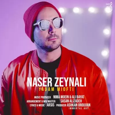 دانلود آهنگ ناصر زینلی به نام یادم میوفتی