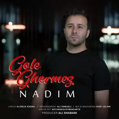 دانلود آهنگ ندیم به نام گل قرمز دانلود آهنگ ندیم به نام گل قرمز