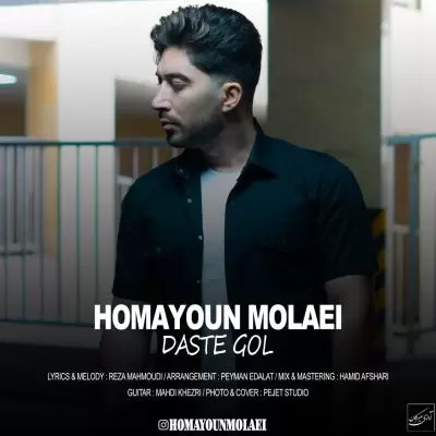 دانلود آهنگ همایون مولایی به نام دست گل دانلود آهنگ همایون مولایی به نام دست گل