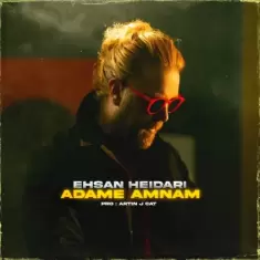 Ehsan Heidari – Adame Amnam