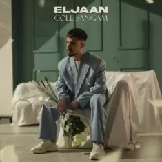 دانلود آهنگ الجان به نام گل سنگم