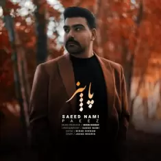 دانلود آهنگ سعید نامی به نام پاییز