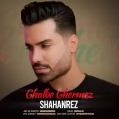 دانلود آهنگ شاهان رض به نام قلب قرمز
